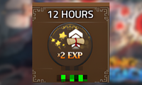 x2 Exp 12 Hours
