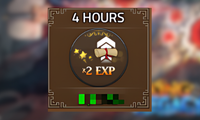 x2 Exp 4 Hours